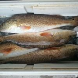 A fishing trip to Rockport