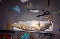 Fishing in Rockport