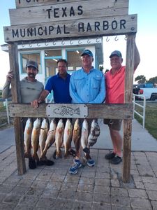 6 redfish and black drum caught on a fishing trip in Rockport