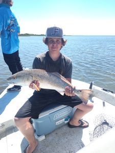 Photo of a redfish, a 26-inch catch in TX