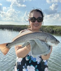 Redfish caught while fishing in Rockport