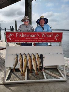 Image of 5 redfish caught during a fishing trip in TX