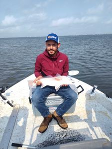 Redfish caught in Rockport