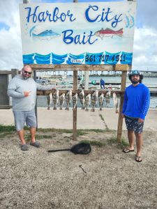 Fresh caught fish displayed on cleaning station at Harbor City Bait in Rockport TX