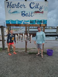 Fresh caught redfish and black drum displayed on cleaning station at Harbor City Bait in Rockport TX