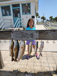 Fresh caught redfish and speckled trout displayed on fishing cleaning station in Rockport TX