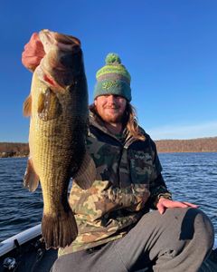 Angler enjoying a day of fishing in Connecticut
