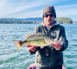 Largemouth Bass caught while fishing in CT