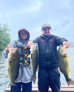 Largemouth Bass caught in CT