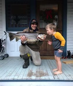Majestic rainbow trout caught in Waterbury