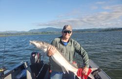 Sturgeon Adventures in Astoria Waters