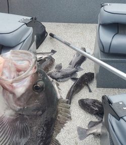1 fishing catch in Oregon