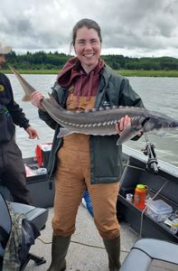 Angler holding a large white sturgeon in Astoria