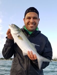 Stoked with a sleek Bluefish!