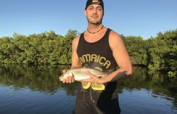 Chill with a clean Redfish!