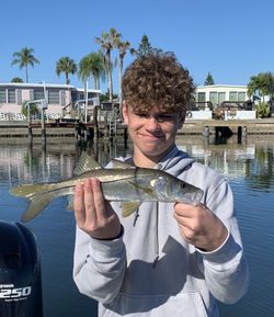 Proud with a playful Snook!
