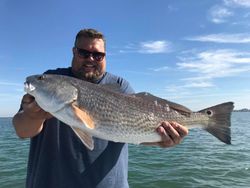 Redfish Fishing Thrills Unleashed