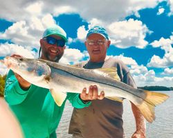Expert Guides, Great Catches: Tampa Bay Fishing