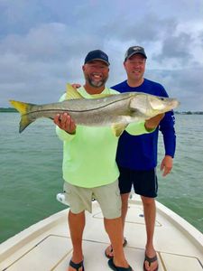 Inshore and Deep Sea Fishing in Tampa Bay