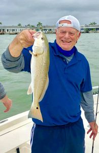 Unveil the Redfish Mystery