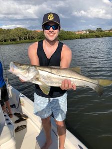Snook fish caught by angler in St. Petersburg