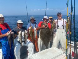 7 European flounder, 27 inches, fishing in Hyannis