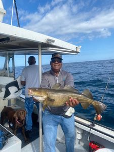 Navigating the Rich Waters of Fishing Cape Cod