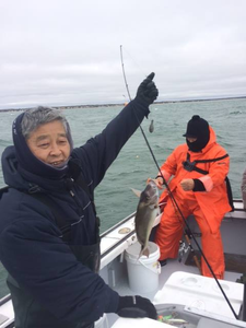 One fisherman catching a fish in Hyannis