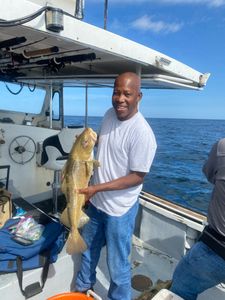 Fisherman catching a big 22-inch fish in Hyannis