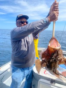 A lone fisherman in Hyannis, holding a 19-inch catch.