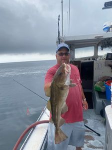 A person fishing in the waters of Hyannis