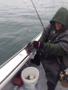 Person fishing in Hyannis