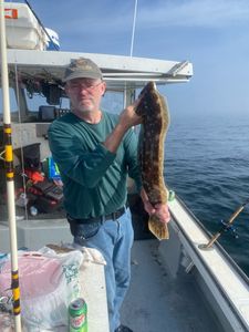 One person fishing in Hyannis