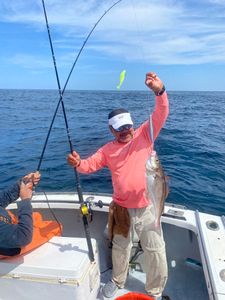 Lone fisherman in Hyannis with a 20-inch catch
