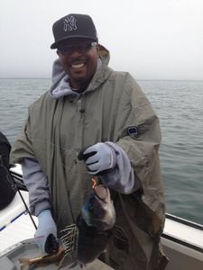 Photograph of a Sea Bass fish caught while fishing in Hyannis