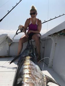 Angler with a big blue marlin catch in HI