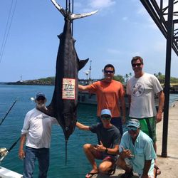 Blue Marlin caught while fishing in HI