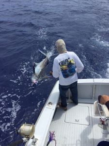 Kailua-Kona fishing adventure