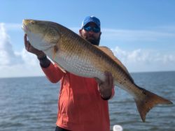 Redfish In Marksville, Louisiana