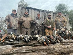 Louisiana hunts	