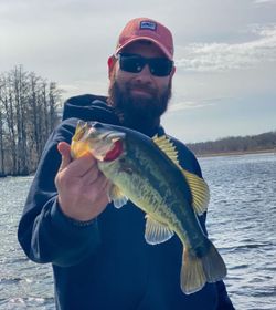 A lone angler fishing in Marksville