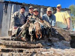 5 people enjoying fishing and hunting in LA