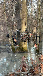 Outdoor adventure in Marksville