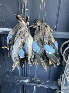 Marksville fishing and hunting adventure