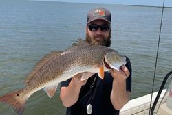 A redfish, 23 inches in size, caught while fishing in Marksville