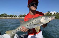 Florida Snook Trophy Fish