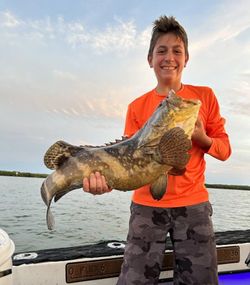 FL charter fishing at its finest, Grouper Fish