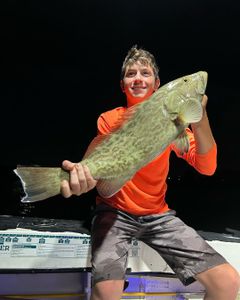 Grouper Fishing in Florida!