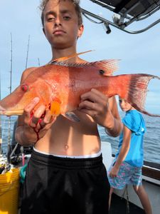 Two anglers fishing in St. Petersburg