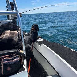Fishing in Florida